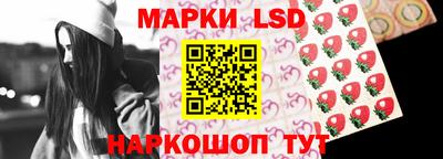 гашик Донецк