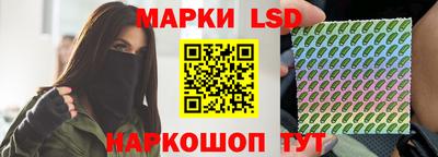 гашик Донецк