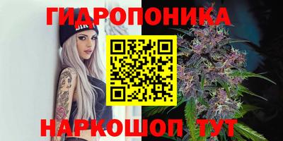 скорость Донской