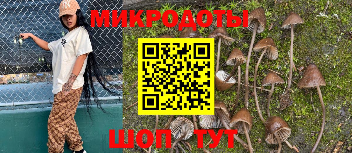 Псилоцибиновые грибы мухоморы Краснознаменск