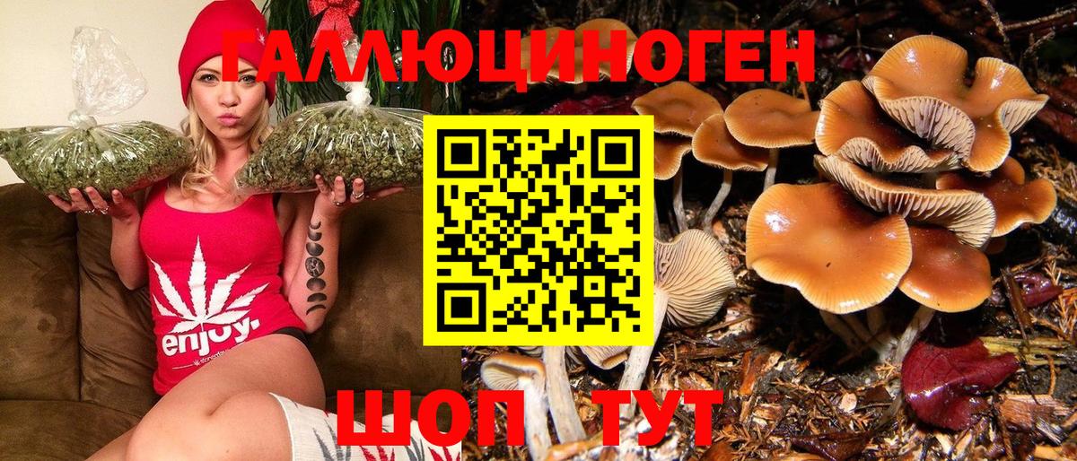 Краснознаменск  Псилоцибиновые грибы Psilocybine cubensis  Вход с VPN 